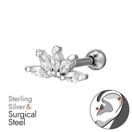 Leaf with Zirconia - 925 Sterling Silver + 316 Surgical Steel Ear Tunnels & Plugs