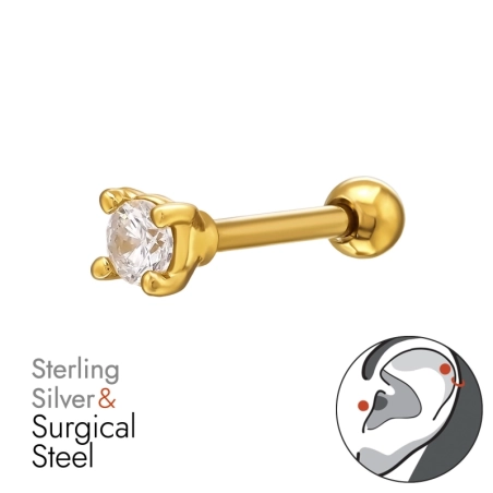 Golden Round with Zirconia - 316 Surgical Steel + 925 Sterling Silver Ear Tunnels & Plugs