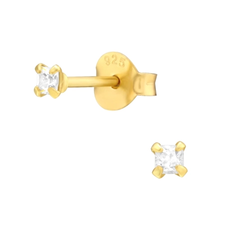 Golden Square 2mm - 925 Sterling Silver Basic Ear Studs