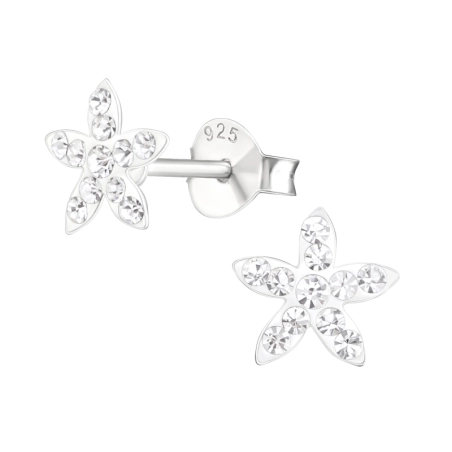 Star Ear studs with stones Jewellery | All4silver