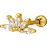 Tunnels and Helix ear piercings