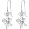 Plain Earrings